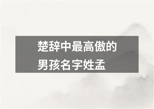 楚辞中最高傲的男孩名字姓孟