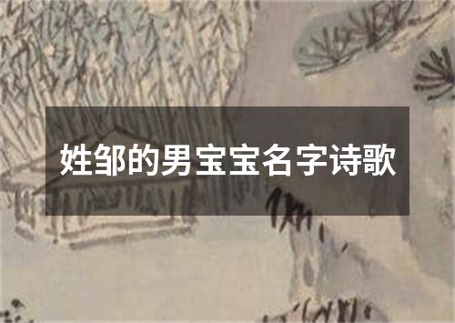 姓邹的男宝宝名字诗歌