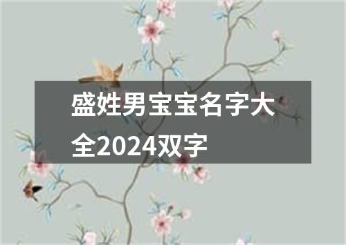 盛姓男宝宝名字大全2024双字