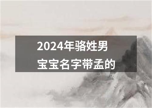 2024年骆姓男宝宝名字带孟的