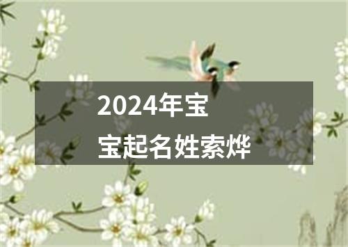 2024年宝宝起名姓索烨