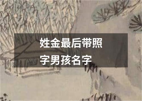 姓金最后带照字男孩名字