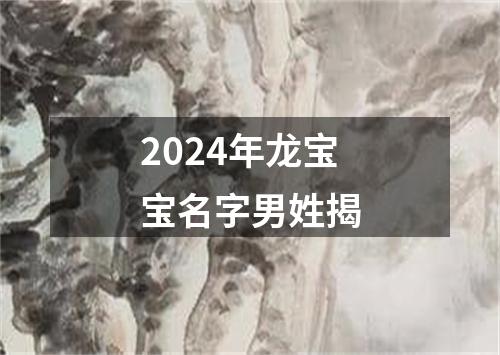 2024年龙宝宝名字男姓揭