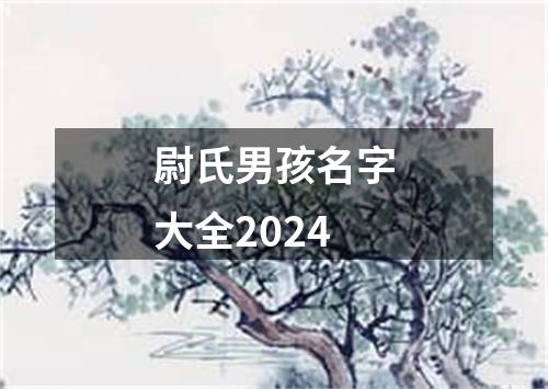 尉氏男孩名字大全2024