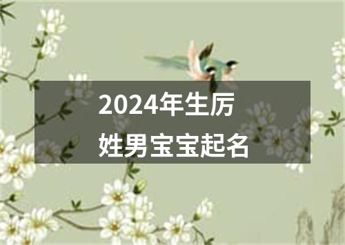 2024年生厉姓男宝宝起名