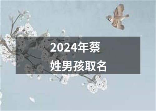 2024年蔡姓男孩取名