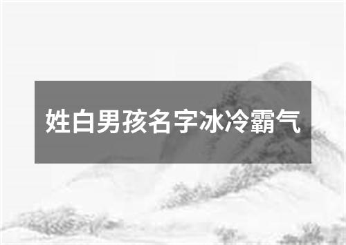 姓白男孩名字冰冷霸气