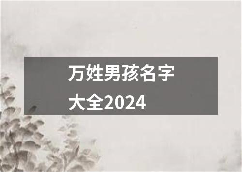 万姓男孩名字大全2024