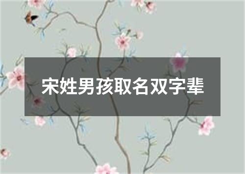 宋姓男孩取名双字辈