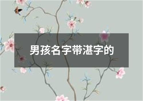 男孩名字带湛字的