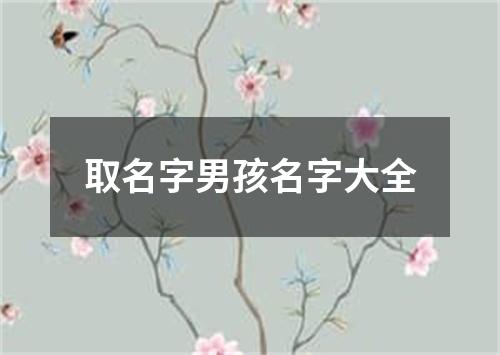 取名字男孩名字大全