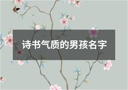 诗书气质的男孩名字