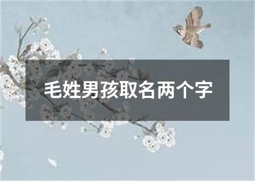 毛姓男孩取名两个字