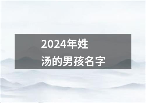 2024年姓汤的男孩名字