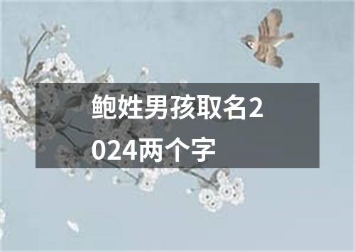 鲍姓男孩取名2024两个字