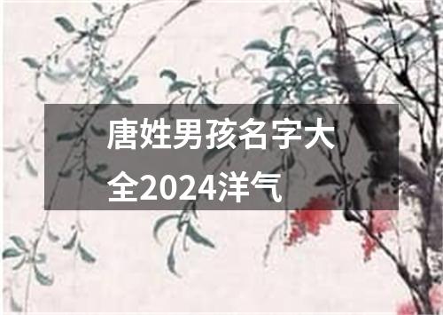 唐姓男孩名字大全2024洋气