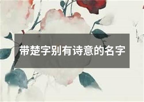 带楚字别有诗意的名字