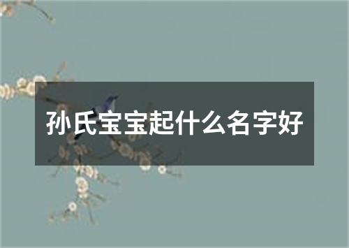 孙氏宝宝起什么名字好