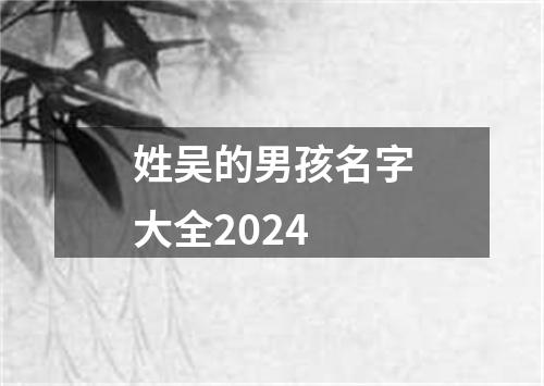 姓吴的男孩名字大全2024