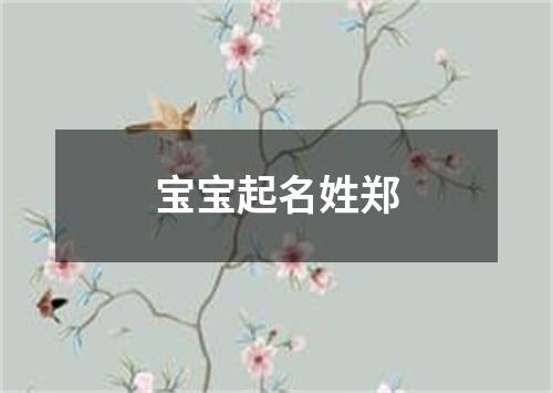 宝宝起名姓郑