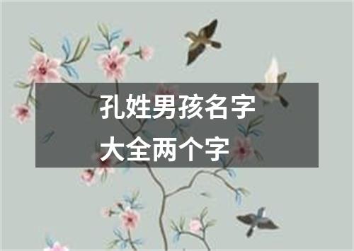 孔姓男孩名字大全两个字