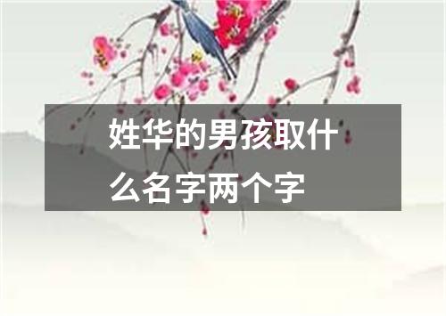 姓华的男孩取什么名字两个字