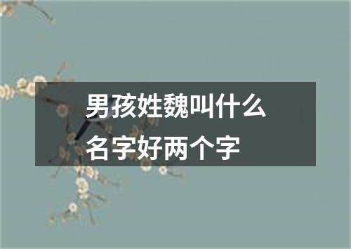 男孩姓魏叫什么名字好两个字