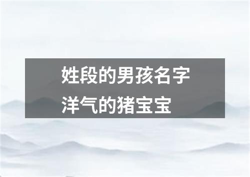 姓段的男孩名字洋气的猪宝宝