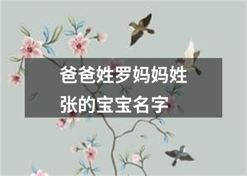 爸爸姓罗妈妈姓张的宝宝名字