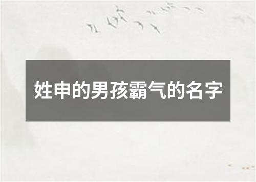 姓申的男孩霸气的名字