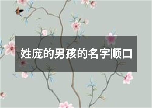 姓庞的男孩的名字顺口