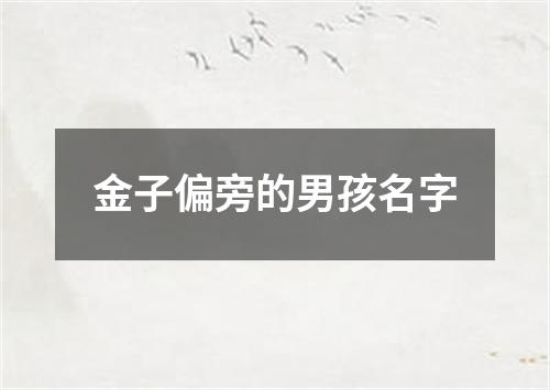 金子偏旁的男孩名字