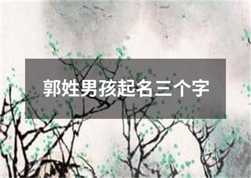 郭姓男孩起名三个字