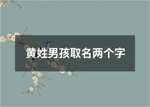 黄姓男孩取名两个字