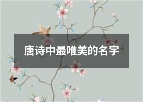 唐诗中最唯美的名字