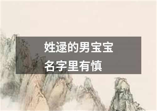 姓逯的男宝宝名字里有慎