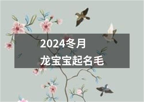 2024冬月龙宝宝起名毛