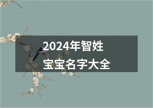 2024年智姓宝宝名字大全