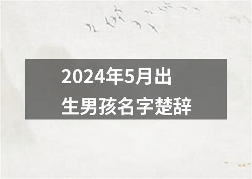 2024年5月出生男孩名字楚辞