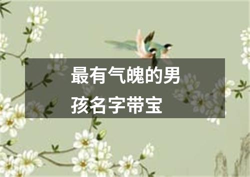 最有气魄的男孩名字带宝