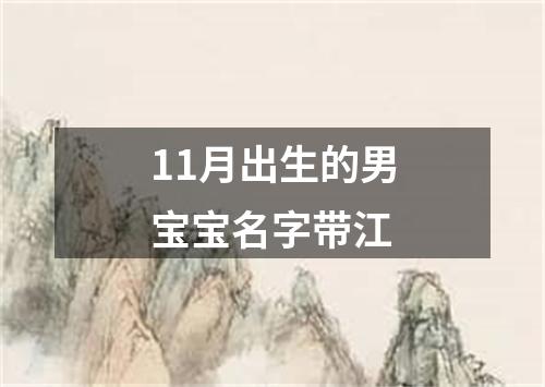 11月出生的男宝宝名字带江