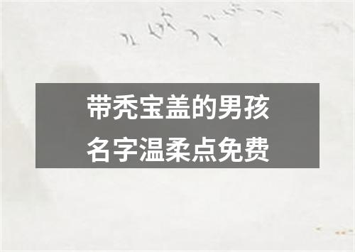 带秃宝盖的男孩名字温柔点免费