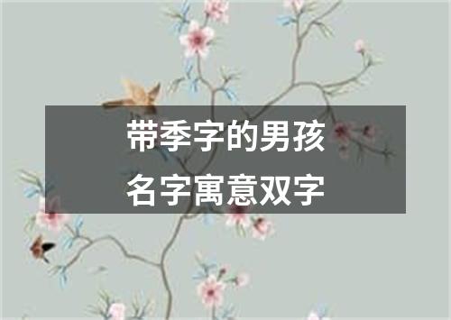 带季字的男孩名字寓意双字