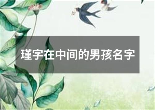 瑾字在中间的男孩名字