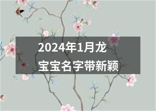 2024年1月龙宝宝名字带新颖