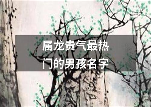 属龙贵气最热门的男孩名字