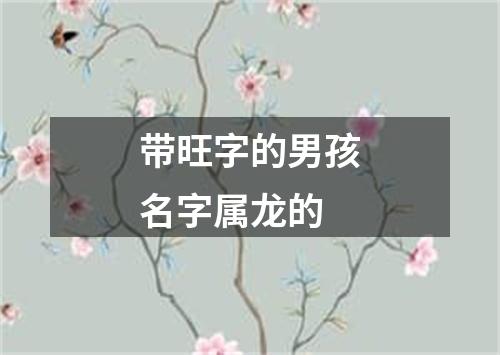 带旺字的男孩名字属龙的