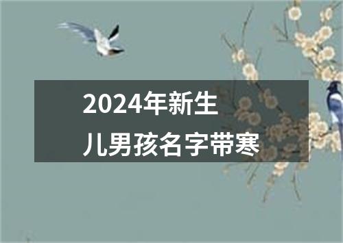 2024年新生儿男孩名字带寒