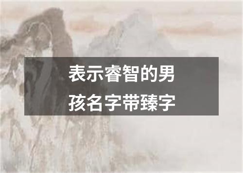 表示睿智的男孩名字带臻字