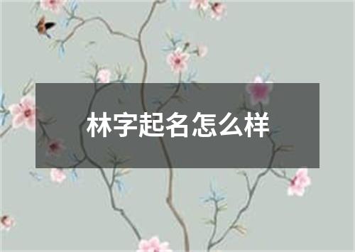 林字起名怎么样